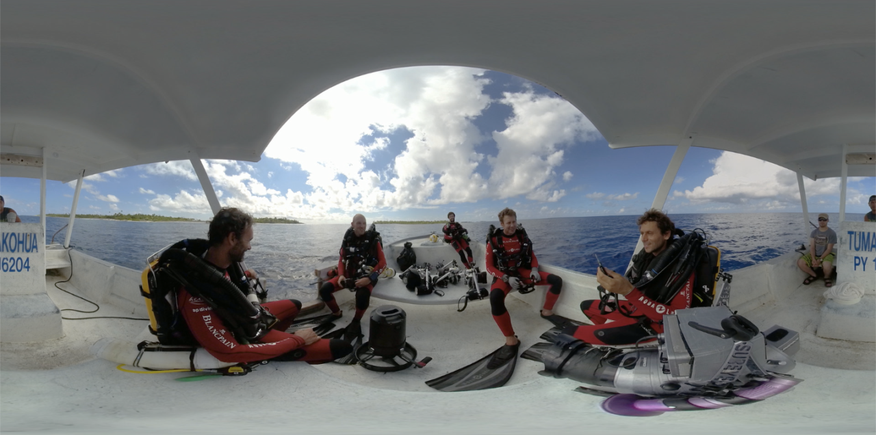 700_requins_equi_9-1280x636
