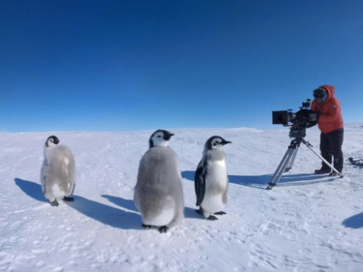 Antartica expedition